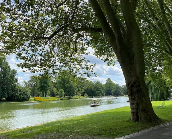 Comment organiser une visite des parcs nationaux de l'Ouest américain ?